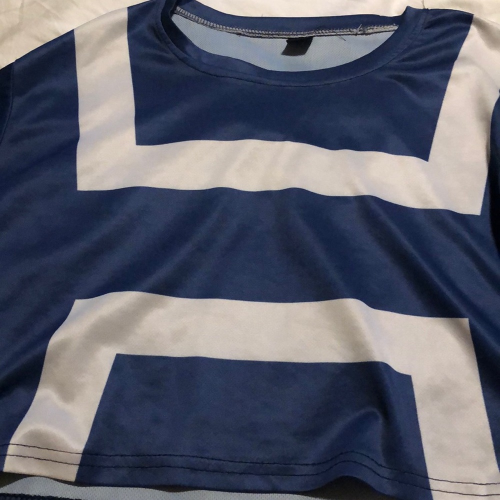 Blue, White, and Red Cropped Top